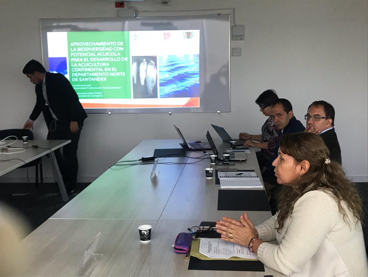 NorteTic's tweet photo. En el día de hoy la secretaría TIC Marina Lozano Ropero presenta ante panel de expertos del Fondo de Ciencia, Tecnología e Innovación el proyecto denominado: “aprovechamiento de la biodiversidad con potencial acuicola para el desarrollo de la acuicultura . https://t.co/AMCVV5J2Ea