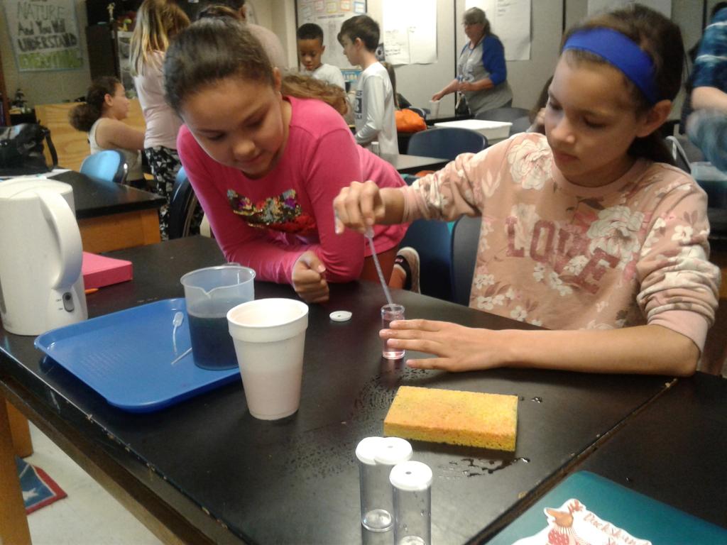 MrsWilliamsESOL tweet media