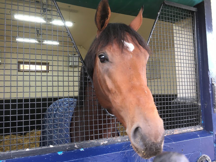 Fethard Horse Country Experience (@fhcexperience) on Twitter photo Over 50% of places for our tours with Coolmore Stud have now been filled. Please get in touch soon if you'd like to secure your spot. You can ring us at 0526130439 (Tuesday - Saturday, 10.00 - 16.00) or email enquiries@fhcexperience.ie. Find out more: fhcexperience.ie/coolmore-tours/ Over 50% of places for our tours with Coolmore Stud have now been filled. Please get in touch soon if you'd like to secure your spot. You can ring us at 0526130439 (Tuesday - Saturday, 10.00 - 16.00) or email enquiries@fhcexperience.ie. Find out more: fhcexperience.ie/coolmore-tours/