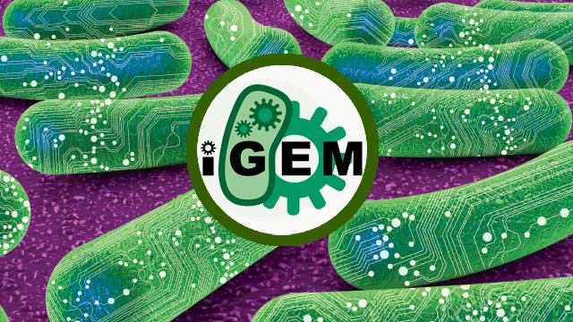 We are so excited to meet @igemathens2019 <a href="/igemthessaly/">iGEM Thessaly</a> and @igempatras in  Thessaloniki for 25 EΣΦΙΕ this Friday on 10:15 Concert Hall Thessaloniki!
event: facebook.com/events/8858489…
#igem2019 #synbio #collaboration #syntheticbiology