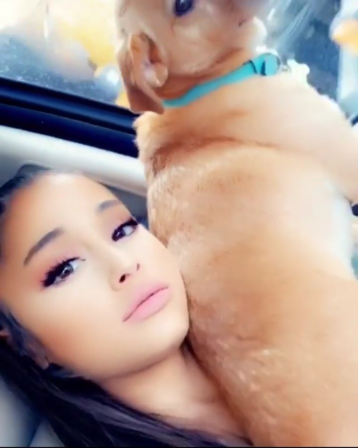 LoveuAri_2's tweet photo. She's so gorgeous ♡ ♡ ♡ #Arianators #SweetenerWorldTour #ThankuNext https://t.co/RAR3mpK8xm
