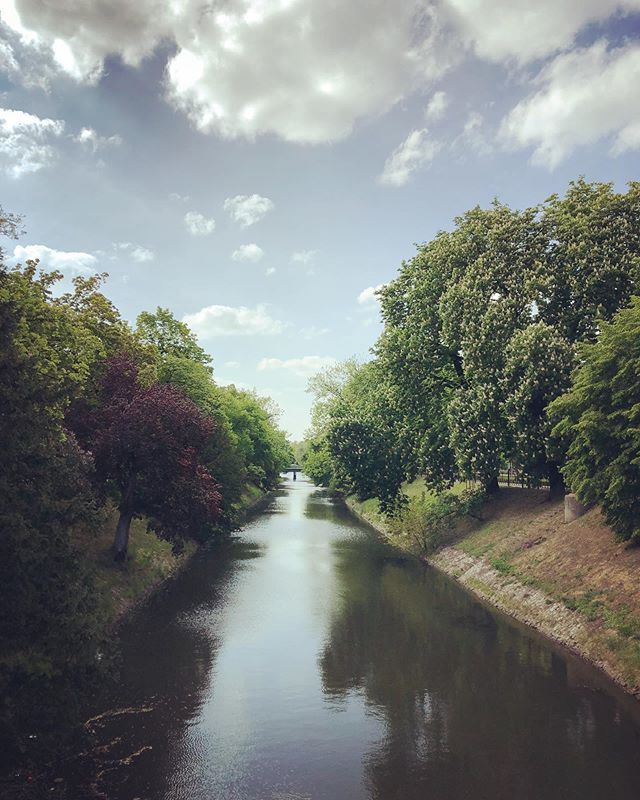 HostelBemma's tweet photo. Zapraszamy do Wrocławia 🌳🌳🌳#wrocław #wroclaw #hostelbemma #spacer #fosamiejska #relax #centrum #holidays #freewalk #nearbemma #bemma #hostelería #hostel #travel #photography #pictureoftheday #city #trees #igerswroclaw #goodway #may #citycenter https://t.co/zv4ueQBixQ https://t.co/V19bAD4y25