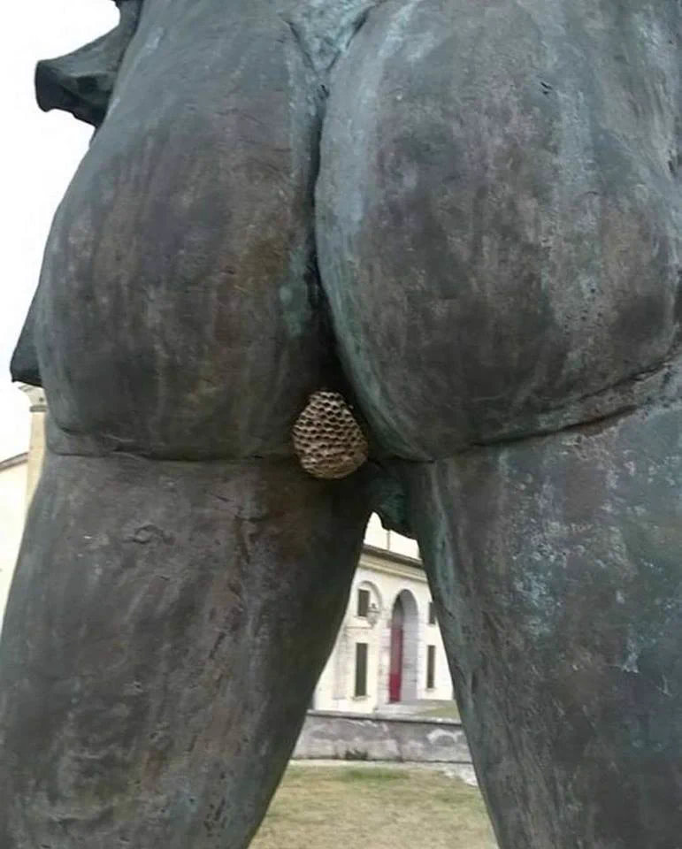 なぜそこに巣を作るwwそこはアカンでところですよww