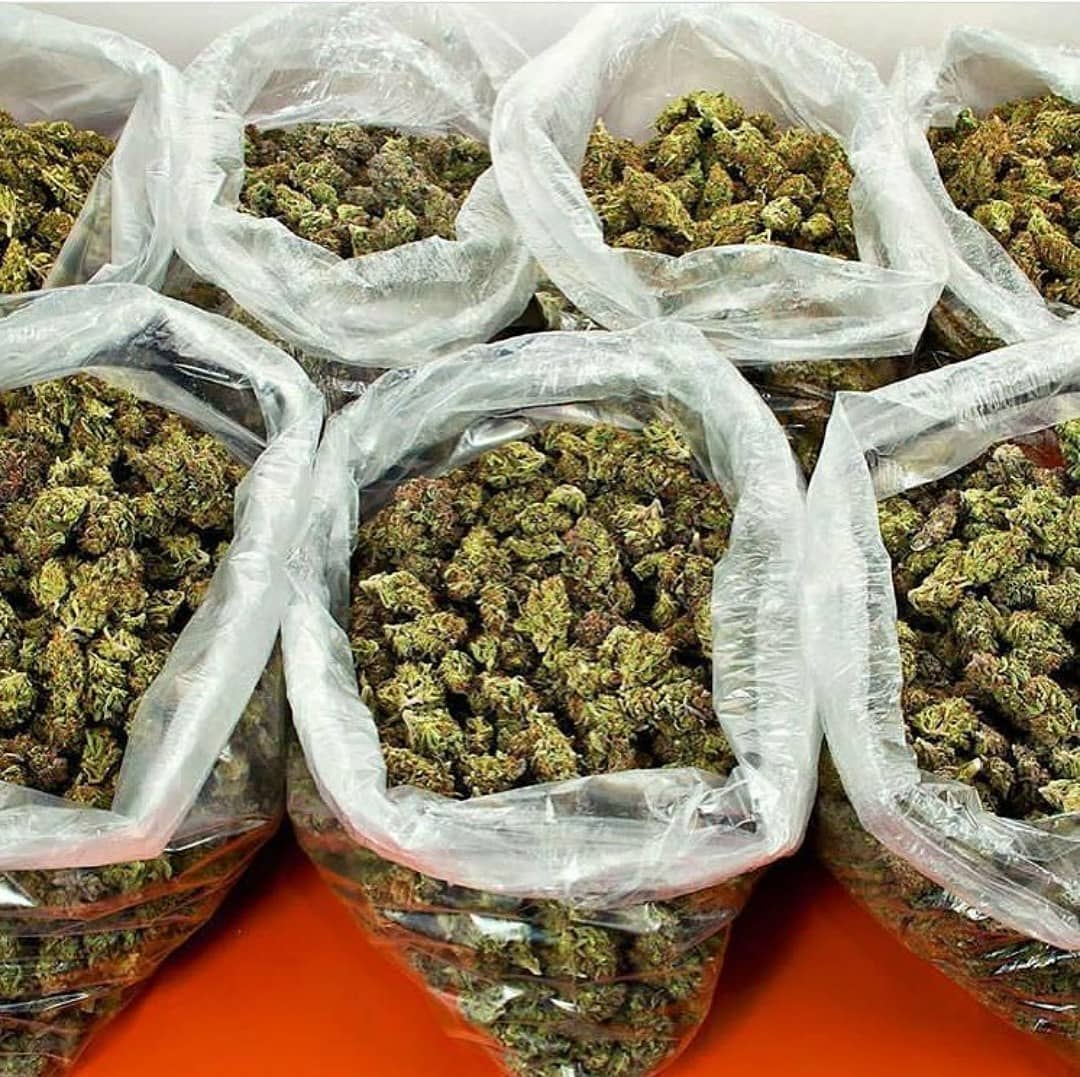 PerriDianna's tweet photo. @shaunking https://t.co/8cDAsjycOu
Globalherbsdispensary@gmail.com
#edibles #cannabutter #vanillacupcakes #bananacupcakes #cannabiscommunity #cannabissociety #highlife #amazingcakes #cannabisoil #motherherboil #cannabis420 #cannabisculture #ordernow #veganfriendly #vegansofig #deliveryserv https://t.co/jEuaNKC0kQ