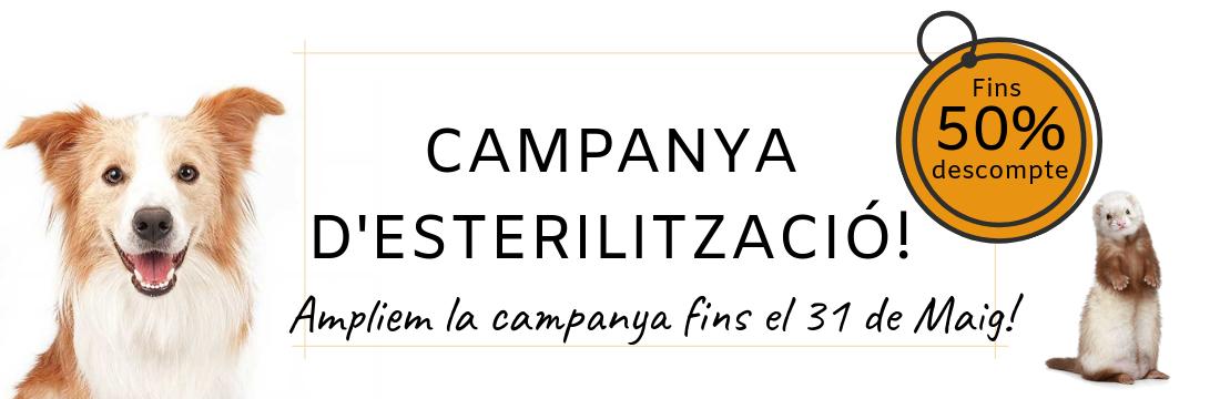 HVanimalia's tweet photo. Ampliem la campanya d'esterilització! 🐕 💕 - https://t.co/r4WHcyd0g2 https://t.co/FsgPlobyLo