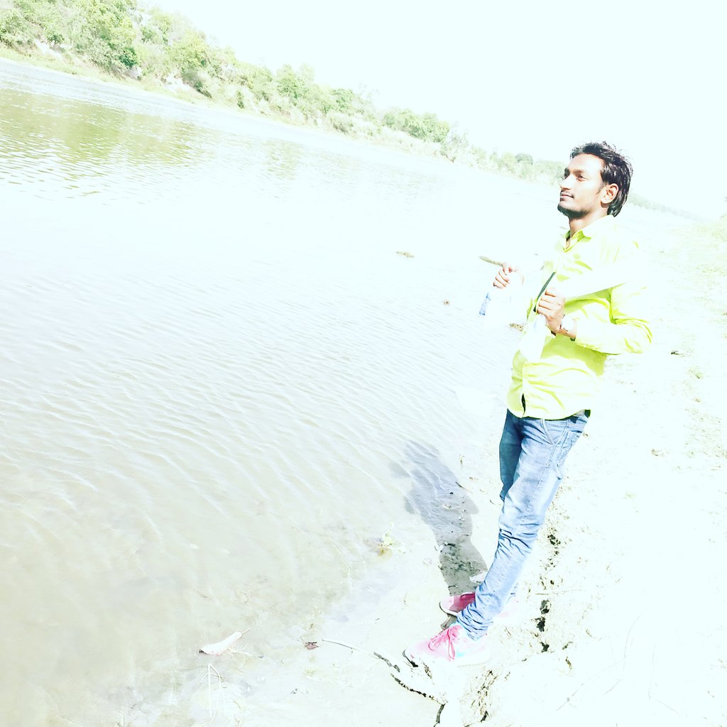 Shepherd Tiger Force India tweet media