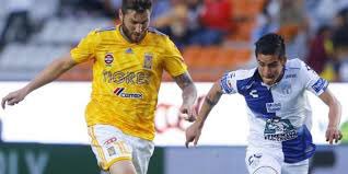 elcompitv's tweet photo. Hoy @TigresOficial visitará una de las aduanas más complicadas para ellos en su historia:
El Estadio Hidalgo!
Ahi los felinos han jugado 28 partidos oficiales:
3 triunfo
10 empates
15 derrotas
#ElPowerRegio
Además en este torneo Pachuca ganó todos sus juegos de local. https://t.co/eHl3oNxyuA