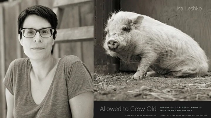 Luxury Life Media Group tweet media