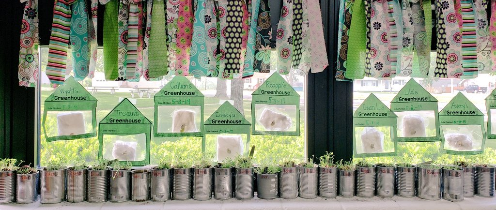 MrsHampton1st's tweet photo. Our beans and flowers are sprouting!
#hornetpride #agintheclassroom #springisinbloom https://t.co/lyR6Amjjk3