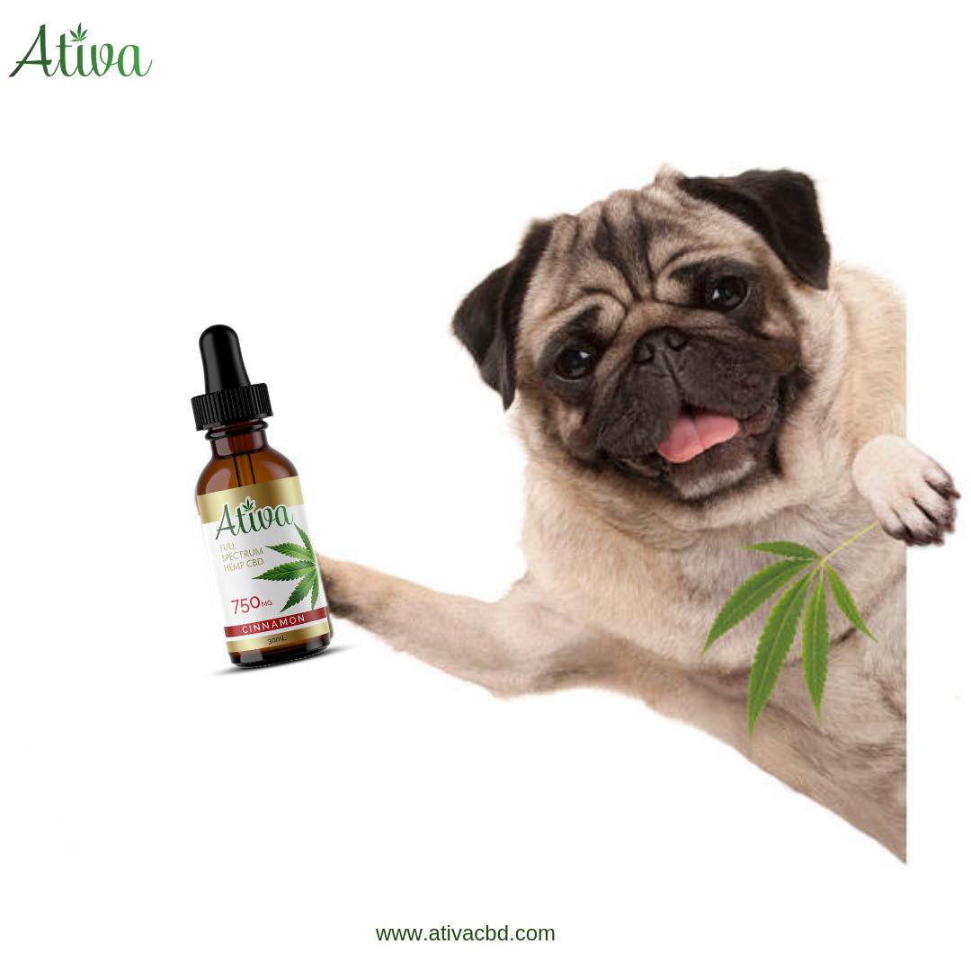 Ativacbd's tweet photo. CBD Oil isn’t only for humans, it’s for our four-legged friends too!
#canines #human #dog #cbdfordog #cbdoiluses #cbdbenefits #pain #anxiety #wellness #doghealth #doglove #dogvet #vet #doglover #treatment #dogowner #ativacbd https://t.co/APwN2Ib463