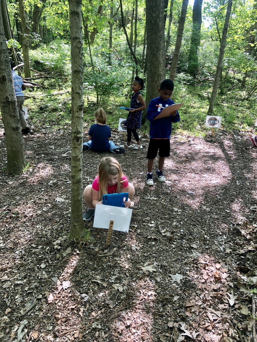 kinder_stem's tweet photo. #KinderStem #LOLA 🦅☀️ https://t.co/6rqcY9VZ4n