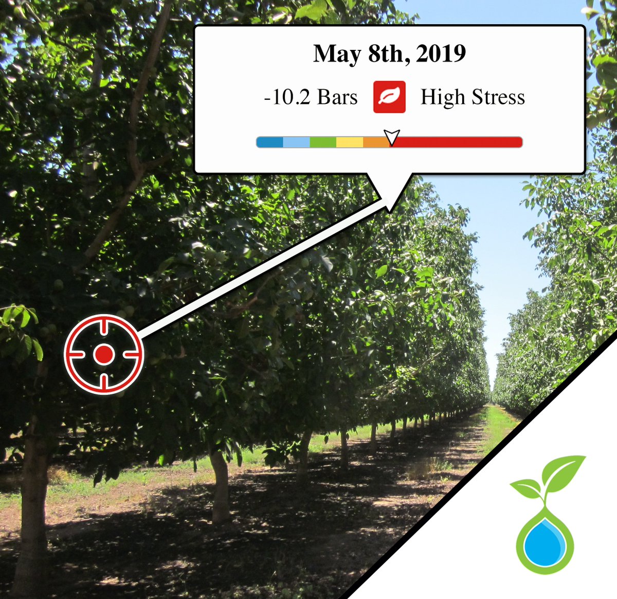 PressureBombExpress tweet media