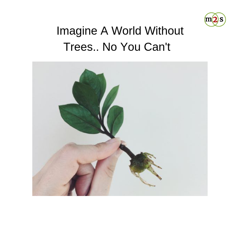 miles2share | flexible & hassle-free carpooling tweet media