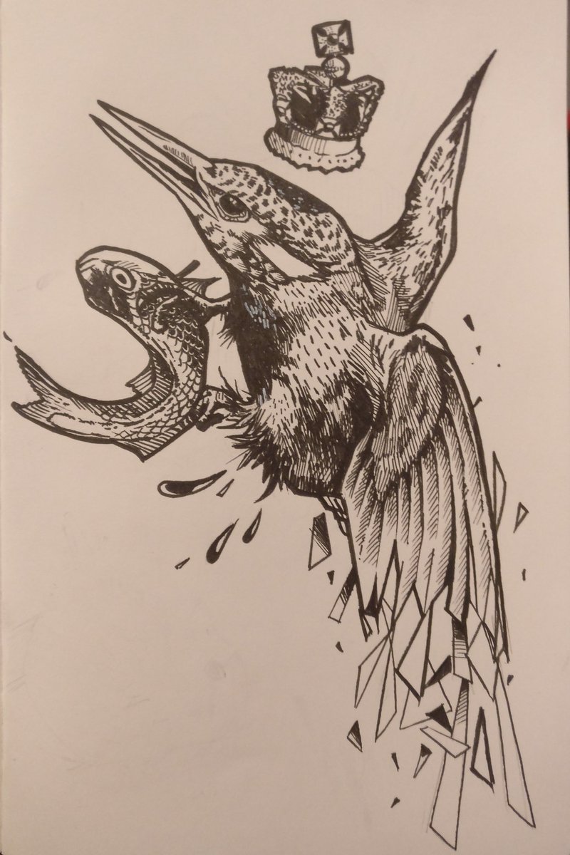 𝕵𝖔𝖓 𝕻 tweet media