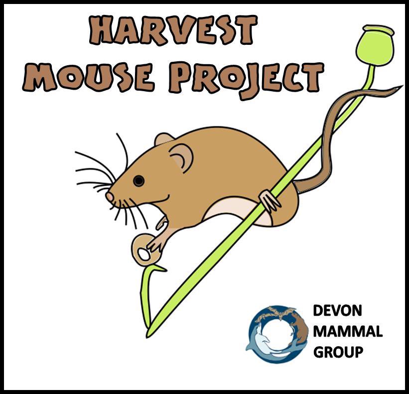 HarvestMiceDVN's tweet image. As of today, Devon Mammal Group’s Harvest Mouse project is one of the three charities that you can donate to by putting your token your token in the right box. Do please think of us if you go into the Exeter branch of John Lewis before July 31st. @DevonMammalGrp
