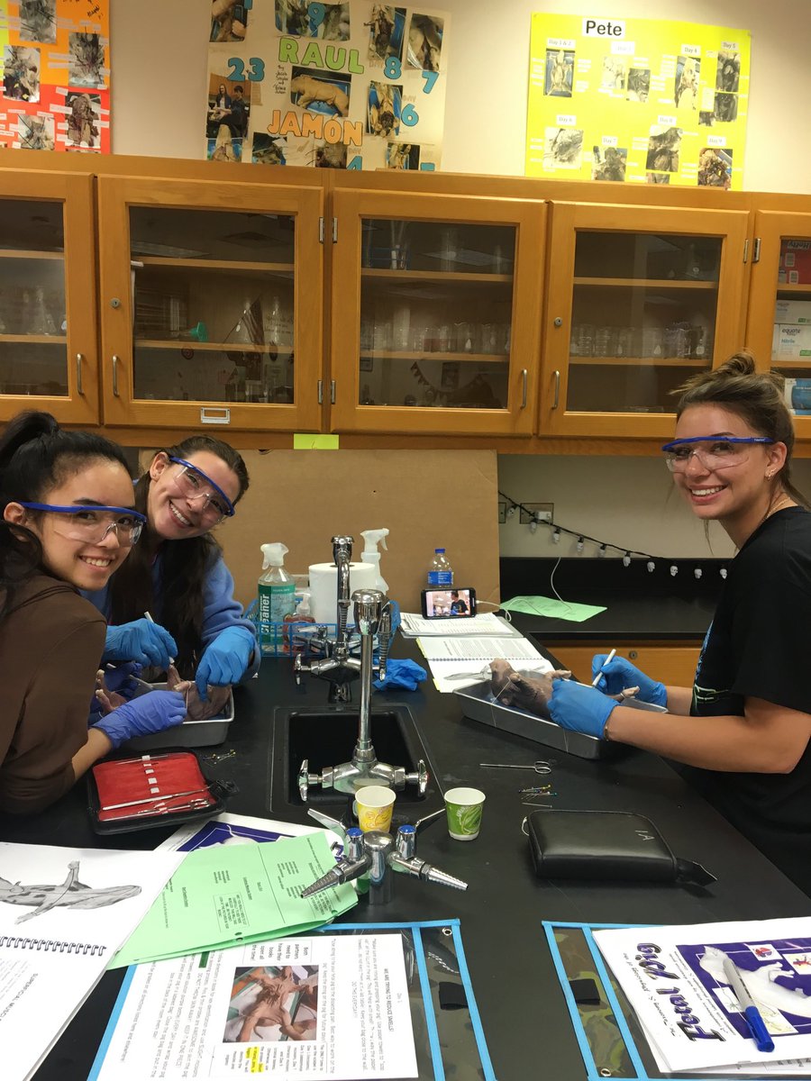 Best to our Anatomy &amp; Physiology students as they start their pig dissection today!  You have worked hard all year for this...finish strong!  We are proud of you! Ms. Mize &amp; Mrs. Lovelace-Birk #WeAreLakePark