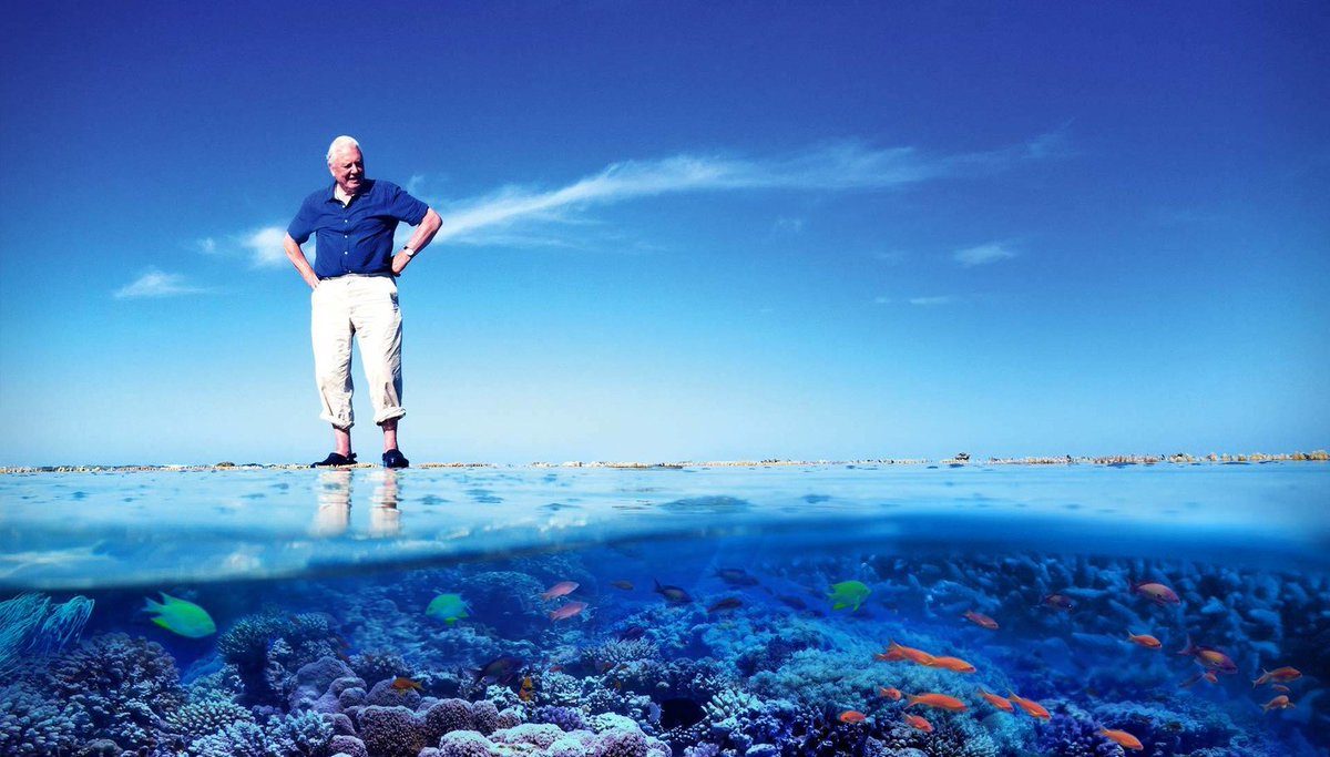 OceanoAzulF's tweet photo. "Nature once determined how we survive, now we determine how nature survives." - #DavidAttenborough
Photo: #AtlanticProductions https://t.co/2QvXhSX3gh