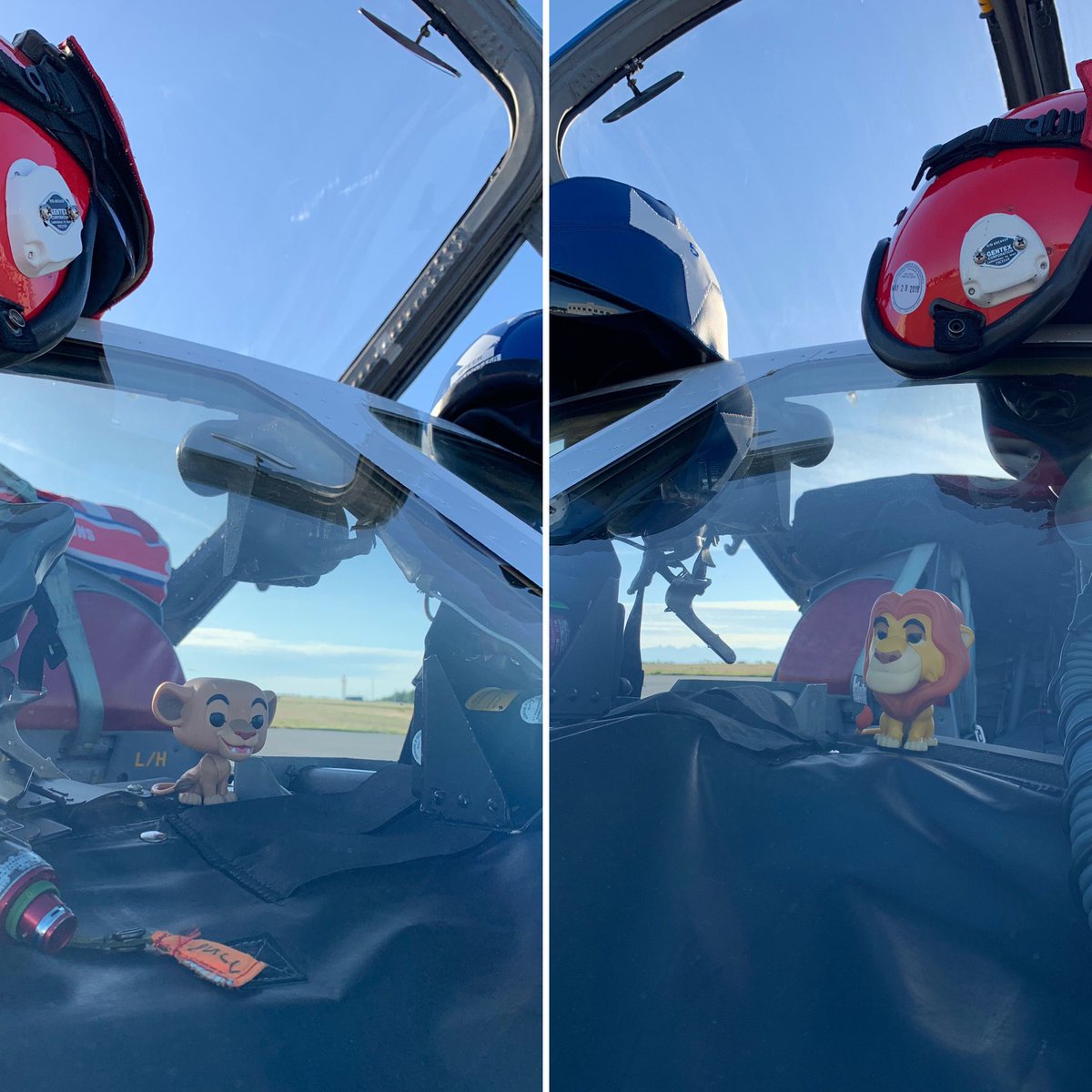 The stemcats are ready for our transit home. #cfsnowbirds #lionking #mufasa #simba #transitday #comox #headinghome #thankyoucomox #WednesdayMotivation