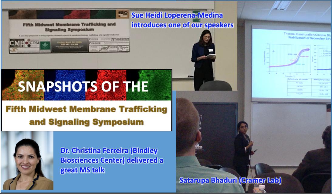 The Aguilar Lab (@purdue_aguilab) on Twitter photo Here are some more photos taken during the symposium! #symposium #aguilarlab #science #cellbiology <a href="/PurdueCellMol/">Purdue Cell & Molecular Biology</a> <a href="/PurdueScience/">Purdue Science</a> <a href="/PurdueBiolSci/">Purdue Biological Sciences</a> <a href="/PurdueLifeSci/">Purdue Life Sciences</a> Here are some more photos taken during the symposium! #symposium #aguilarlab #science #cellbiology <a href="/PurdueCellMol/">Purdue Cell & Molecular Biology</a> <a href="/PurdueScience/">Purdue Science</a> <a href="/PurdueBiolSci/">Purdue Biological Sciences</a> <a href="/PurdueLifeSci/">Purdue Life Sciences</a>