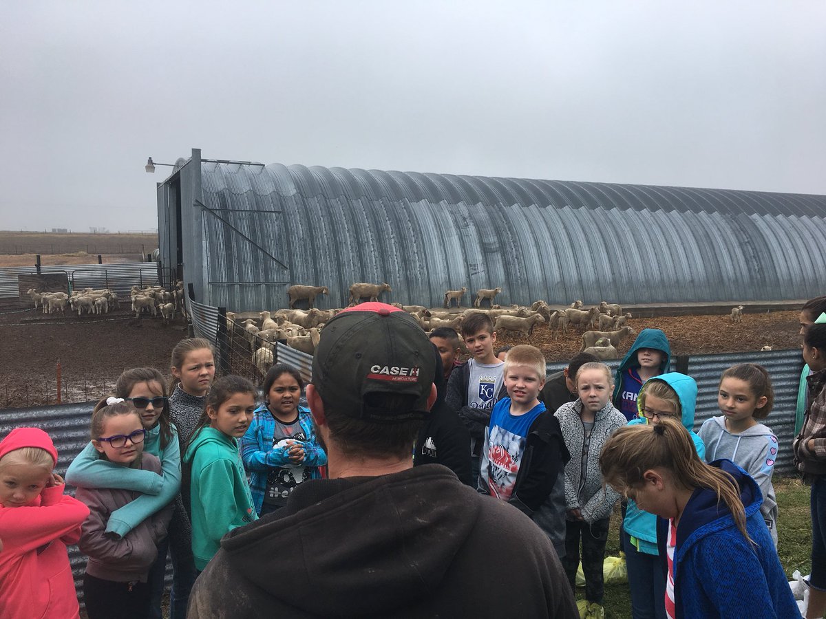 misscramer4's tweet photo. First part of the 2nd/4th grade field trip is complete! Thanks Flax Farms for the tour 😊 https://t.co/RniMomgpaY