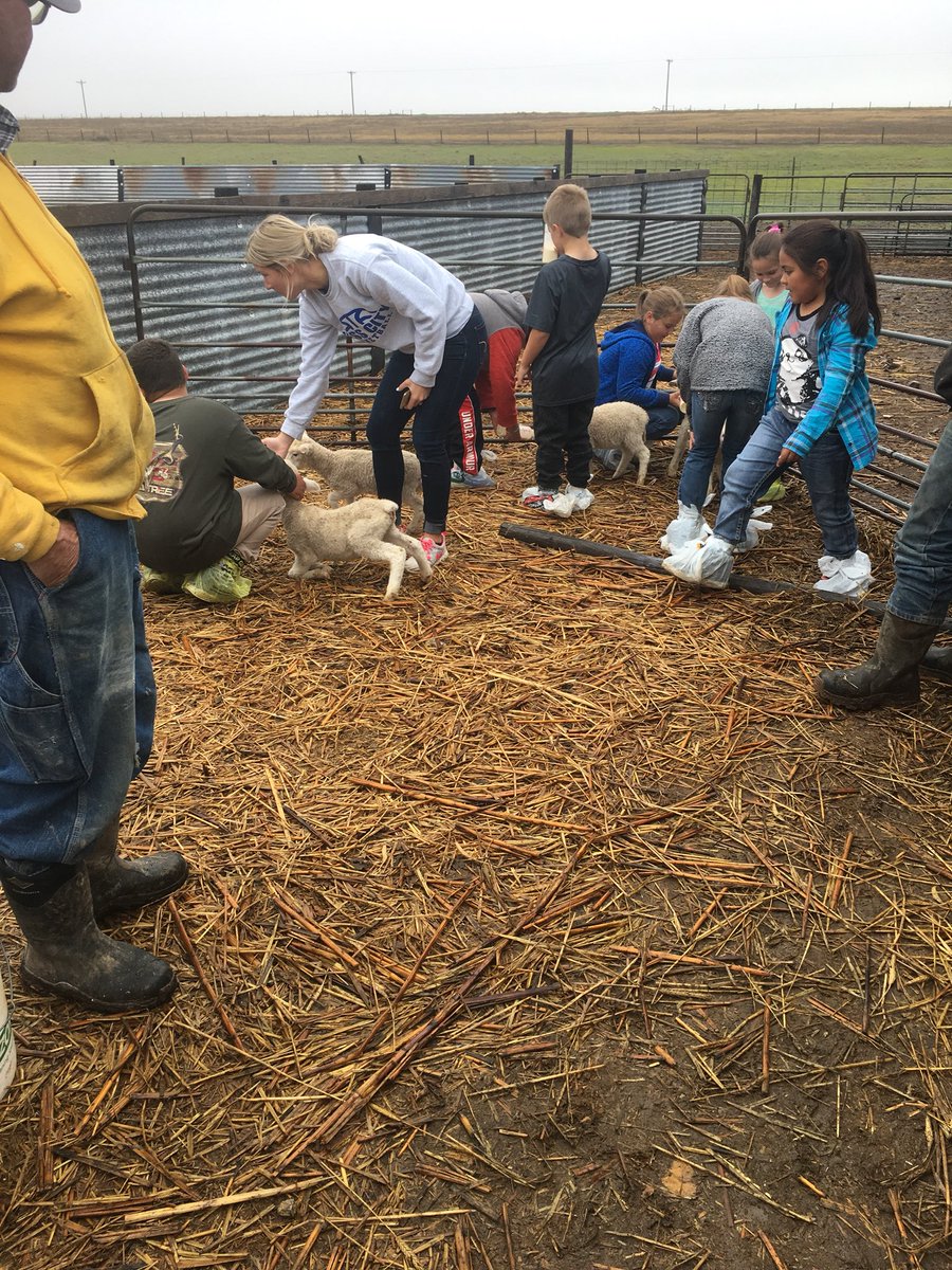 misscramer4's tweet photo. First part of the 2nd/4th grade field trip is complete! Thanks Flax Farms for the tour 😊 https://t.co/RniMomgpaY