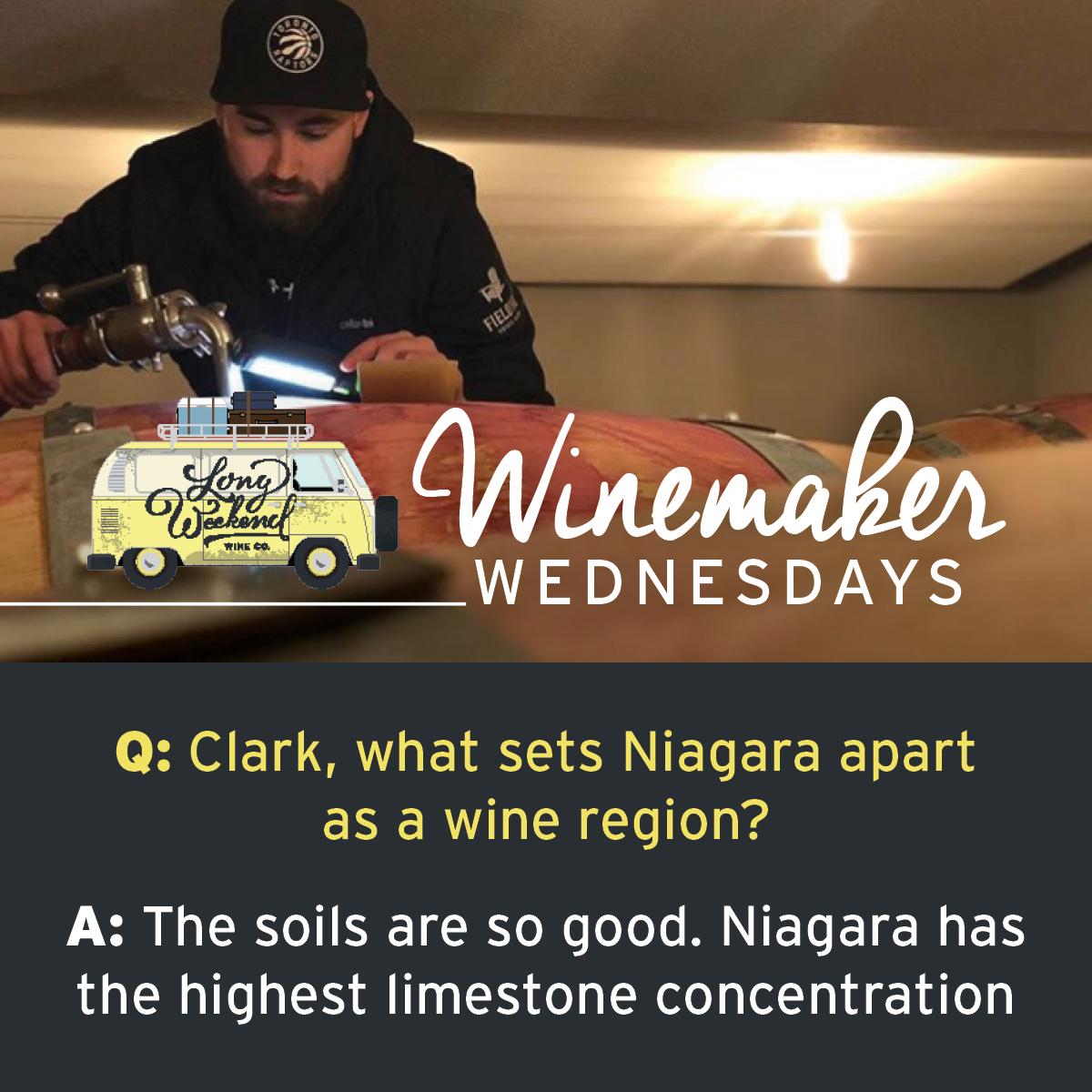 Long Weekend Wine Co tweet media