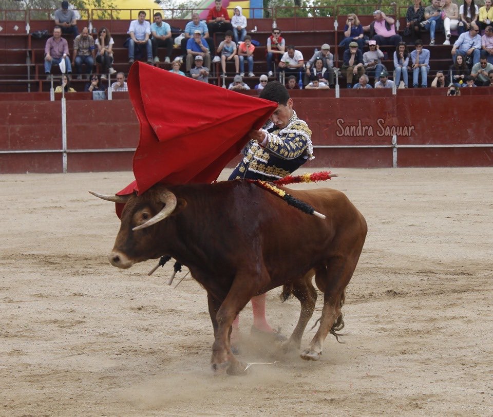 Algunas imágenes de Jorge Molina <a href="/jorgemolinaa/">Jorge Molina</a> el pasado día 2 de Mayo en las Matas (Madrid) 📷<a href="/FSandrasaguar/">fotografiataurina_sandrasaguar</a>