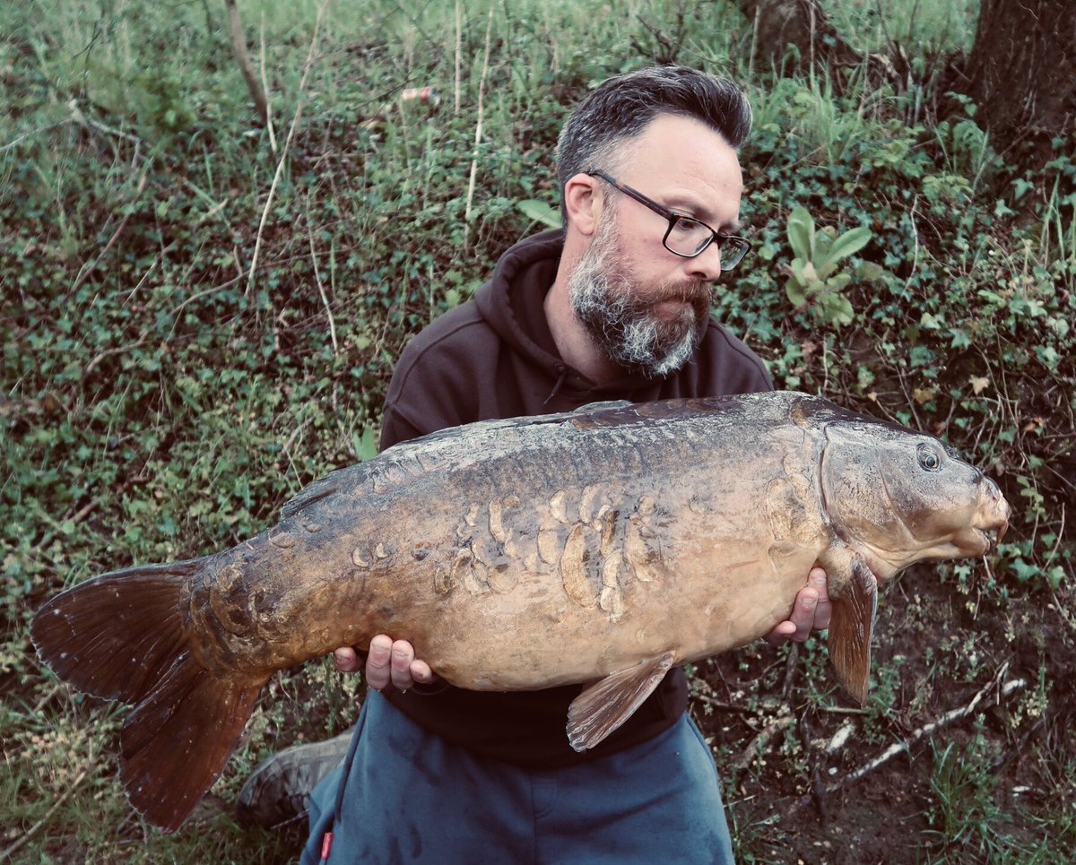 Sneaked one out on a work night. Couple of weekend before my ticket runs out on the club pit so still a chance of the really big girls. #carp #carpfishing #carpdiem #carpe