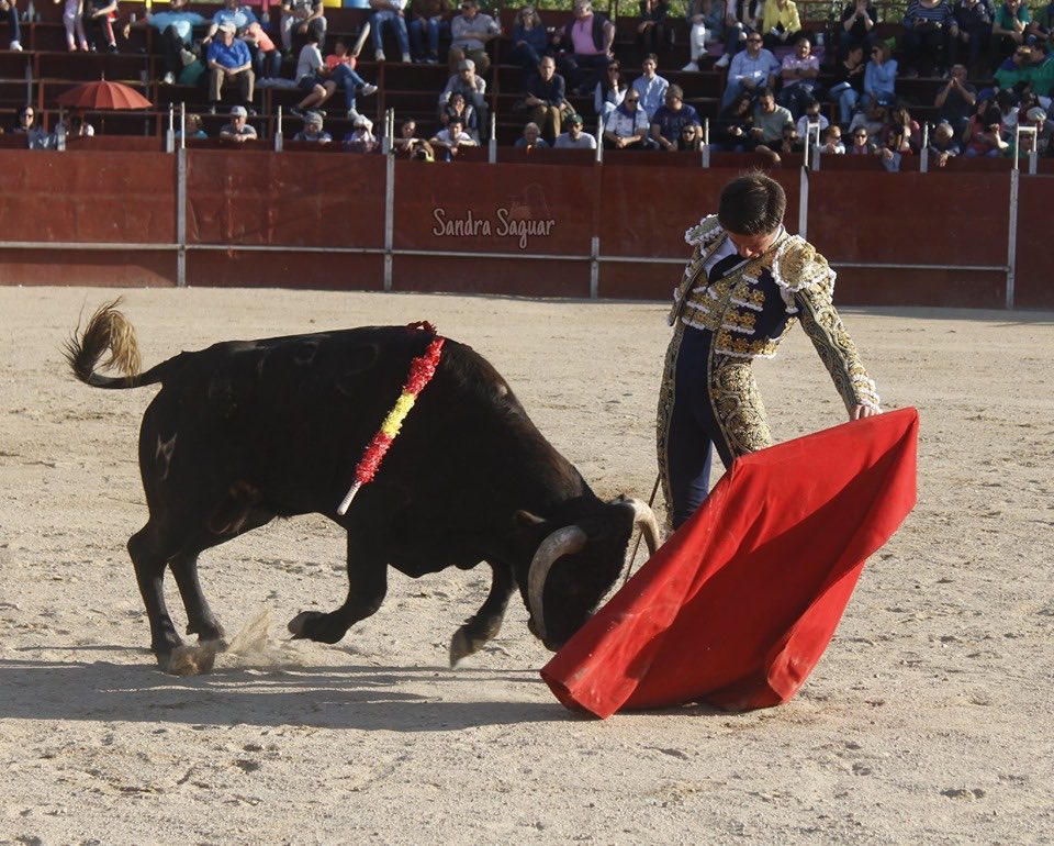 Imágenes de la actuación de Villita @villajuanjo2000 en Las Matas, ante erales de Nuñez del Cuvillo 📷 <a href="/FSandrasaguar/">fotografiataurina_sandrasaguar</a>
