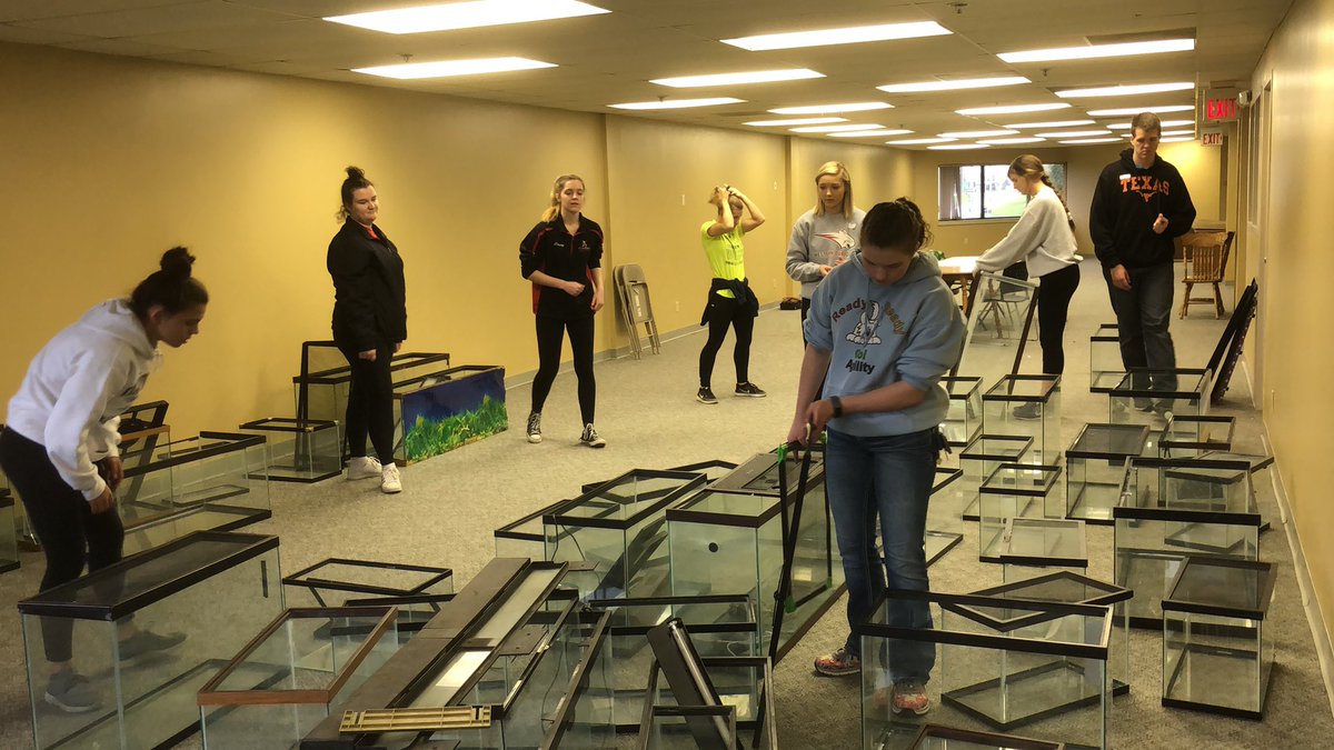 BobcatBand1's tweet photo. #wdbobcatservice19 https://t.co/9X0ROlctVB
