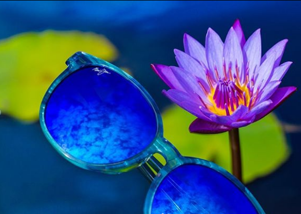 SterlingOptical's tweet photo. Treat yourself to a pair of Maui Jim sunglasses in a summer-perfect shade! (📸:@officialmauijim ) https://t.co/oop2Bo7n8X