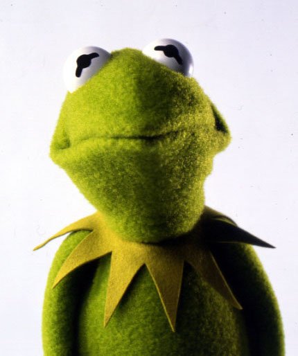 kermit the frog frown