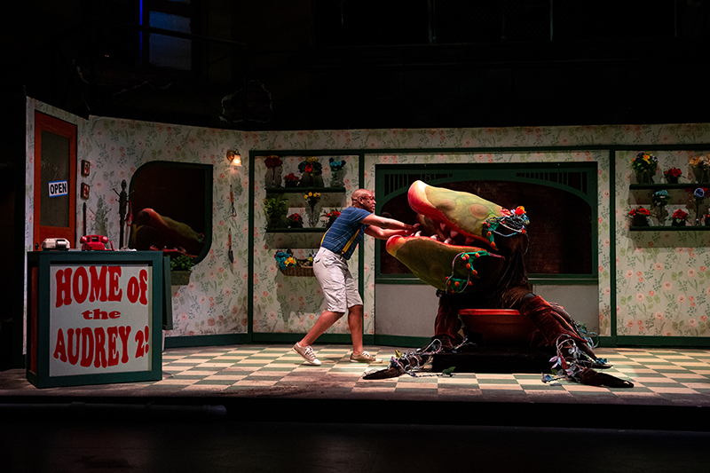 Little Shop of Horrors starts its third week today! Get your tickets today, so you don't miss out!
tickets.uccspresents.org/events/216?pro…
Call Box Office 719-255-3232

#theatreworkscs #littleshopofhorrors
#seetheatrework
#coloradosprings #colorado #coloradoart #coloradoartist