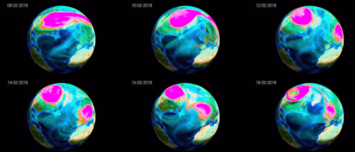 Daniela Domeisen tweet media