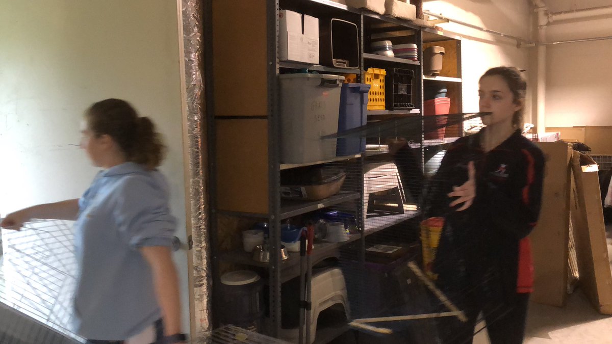 BobcatBand1's tweet photo. #wdbobcatservice19 https://t.co/N3FlGGGSq4