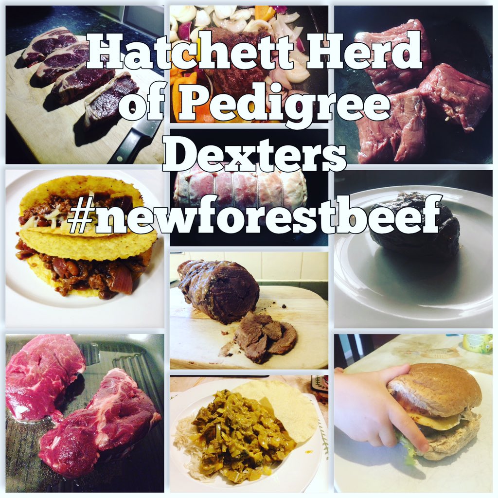 Dates to be finalised but next lot of <a href="/hatchettdexter/">Hatchett Dexters</a> Pedigree beef should be ready mid/end June. Please get in contact with your special requests/orders #shoplocal #dexterbeef #steaks #joints #burgers #mince