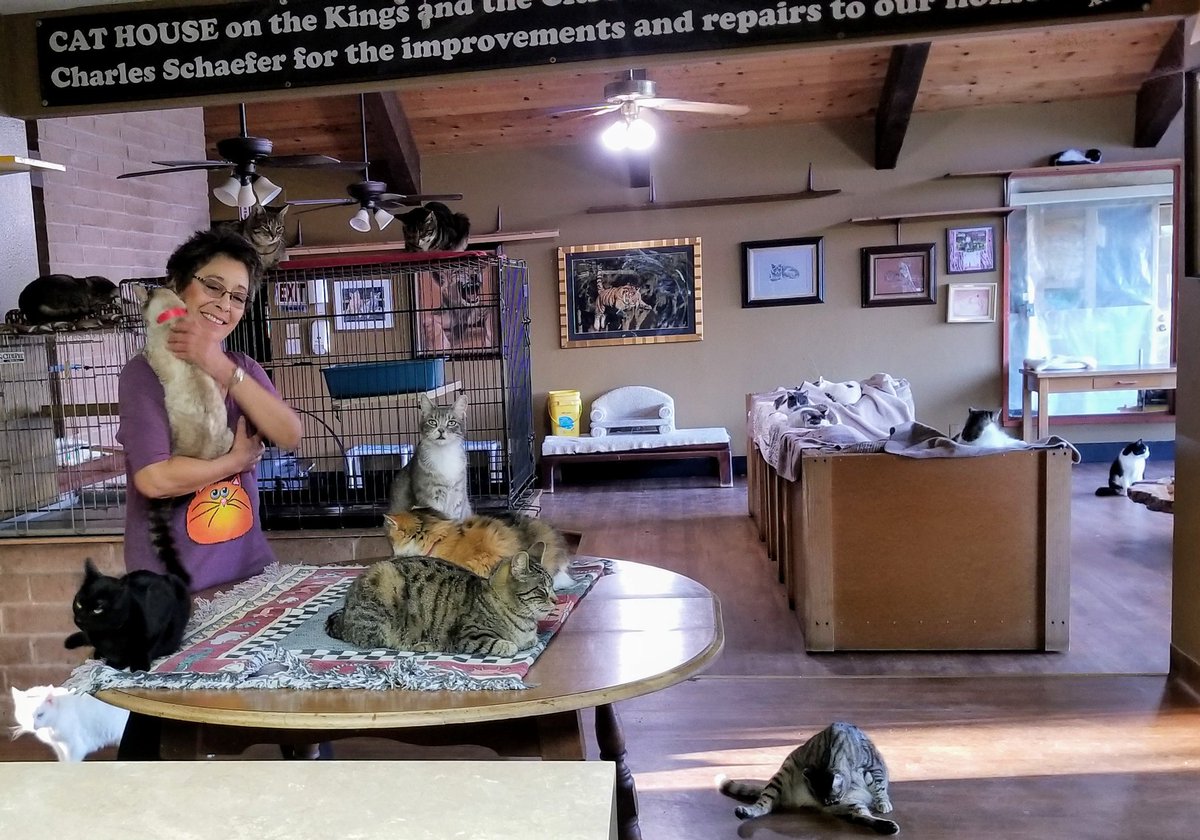 cathouseotkings's tweet photo. MOTHER'S DAY IS MAY 12! Please choose us as your charity of choice when shopping! When you #StartWithaSmile, Amazon donates to Cat House on the Kings. Bookmark the link: https://t.co/kHhI5AG3Mw and support us when you shop. #MothersDay #LoveASHLEYwedCare https://t.co/cCzMPumHa8