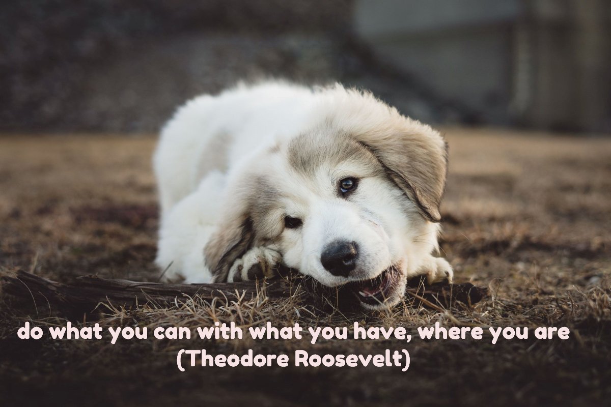 TheCleverBadger's tweet photo. more Wedneday words of wisdom to live by....
https://t.co/MtAYwQILyc
#wednesdaywordsofwisdom #greatquotes #theodoreroosevelt #humpday #thecleverbadger https://t.co/0ZeRXo4E53