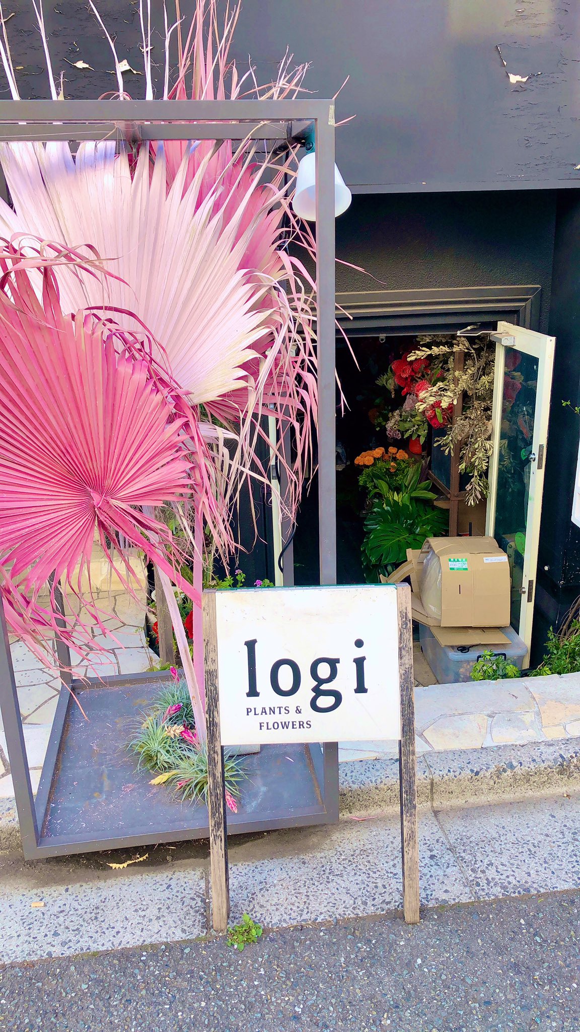 あさぎーにょ 1番好きなお花屋さんがあってさ 青山logiってとこなんやけど おしゃれなお花めちゃ多いねん 相手のイメージ伝えたら沢山セレクトしてくれる オススメ 友達にぴったりのクールな お花作って舞台を観に行った ひなたキラキラしてて素敵