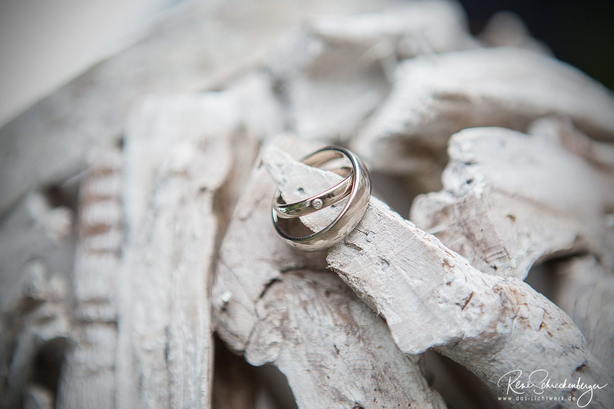 lichtwerk_foto's tweet photo. #Hochzeitsfotografie
#Hochzeitsfotograf
#Hochzeit
#heiraten
#heiraten2019
#Braut
#Braut2019
#Brautpaar2019
#Hochzeitsreportage
#wedding
#love
#bride
#weddingphotographer
#weddingphotography
#dasLichtwerk
#ReneSchreckenberger
#Mannheim
#Heidelberg
#Pfalz https://t.co/yVRgqEqyhL