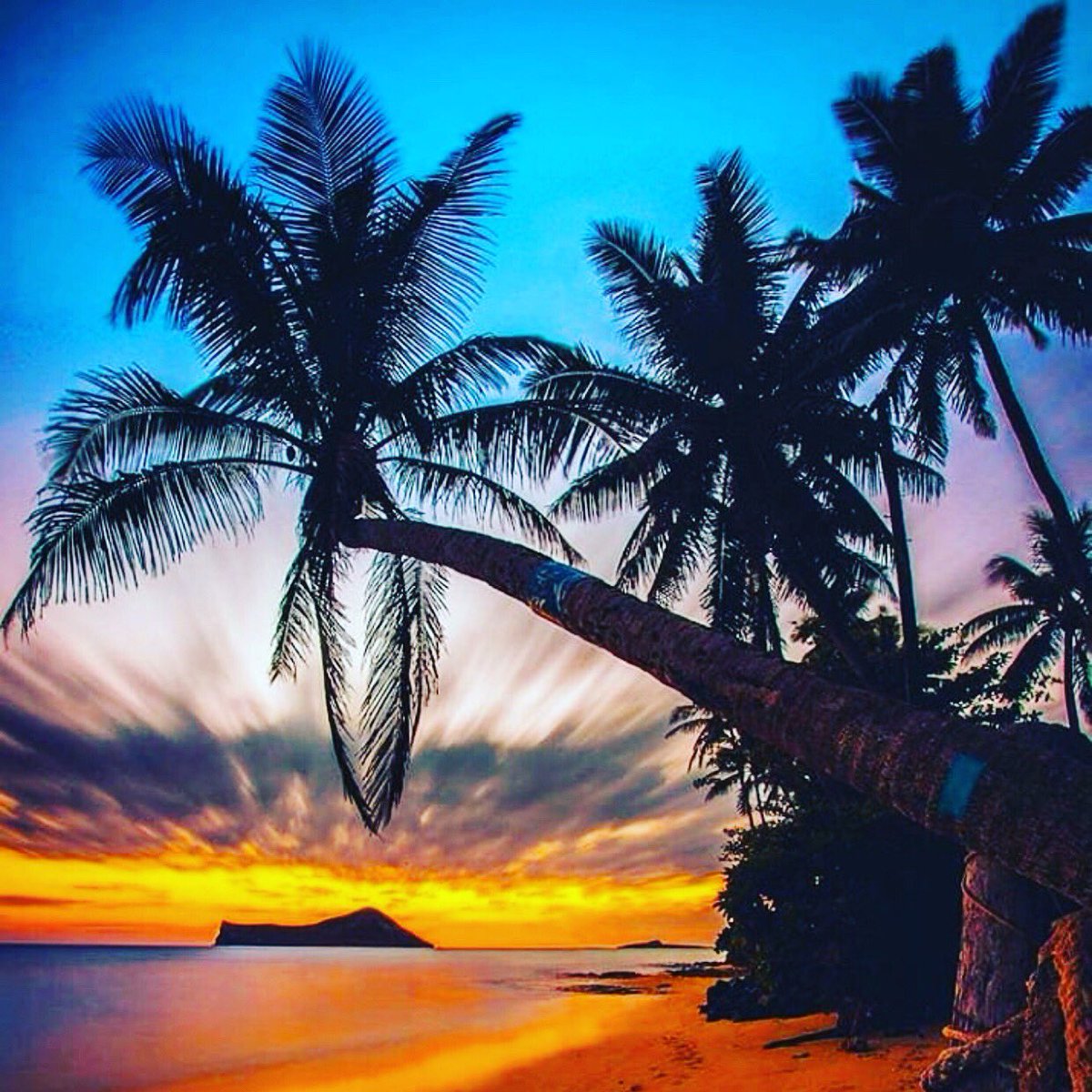SecurityBag's tweet photo. #paisajes 
https://t.co/CXaR1N0teN
#securitybag
#bolsadeproteccionyseguridadparaequipajes https://t.co/KWD75GCjtO