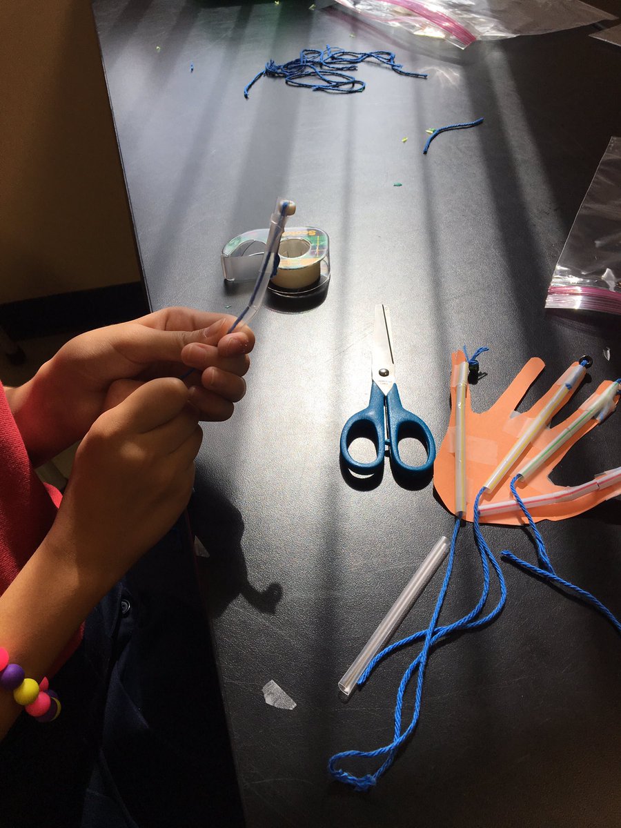 StepNoodles's tweet image. 3rd graders wrapping up the human body with mechanical hands. Bones and tendons with straws and strong! @LangtreeCharter #SciencelabRULES #handsonscience