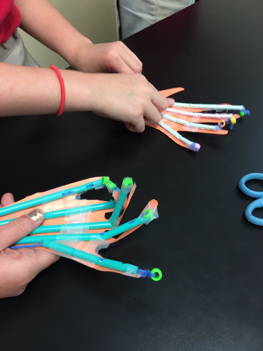 StepNoodles's tweet image. 3rd graders wrapping up the human body with mechanical hands. Bones and tendons with straws and strong! @LangtreeCharter #SciencelabRULES #handsonscience