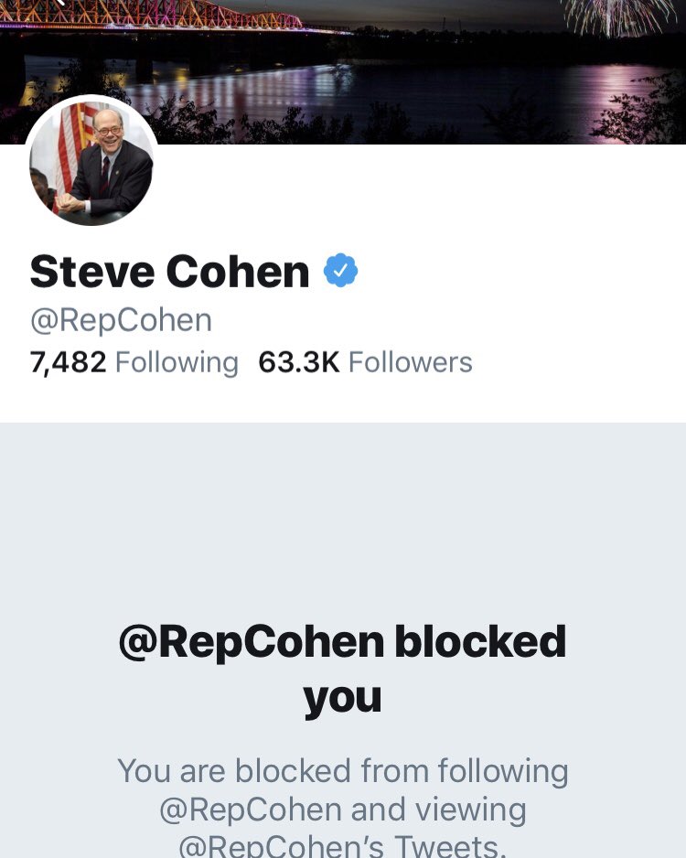 AngelGotti5's tweet photo. I was wondering why I couldn’t tag Spitball Chicken Doofus in my earlier tweet. He blocked me🙀#RepSteveCohen #Doofus #RinseBeforeTvAppearances #Chickengate https://t.co/amnkToQtoZ
