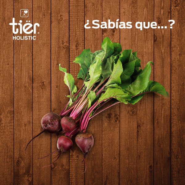 tierholistic's tweet photo. ¿Sabías qué…? #TierHolistic contiene remolacha que ayuda a bajar la presión arterial de tu cachorro. https://t.co/m0Vi8AGSGH