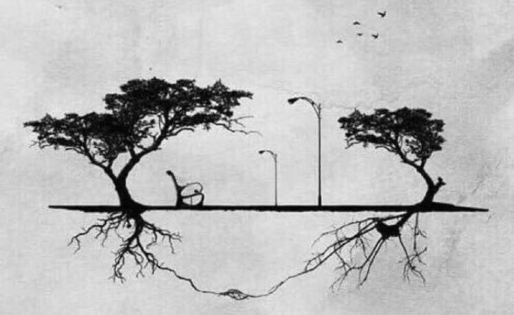 كشجرتين يمرّ بيننا الناس ولا يعلمون أن جذورنا تتعانق❤️.