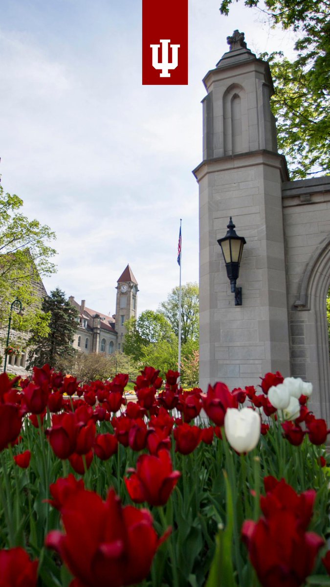 IU Bloomington ranks highly among Best Global Universities: News: News and  Events: College of Arts & Sciences: Indiana University Bloomington