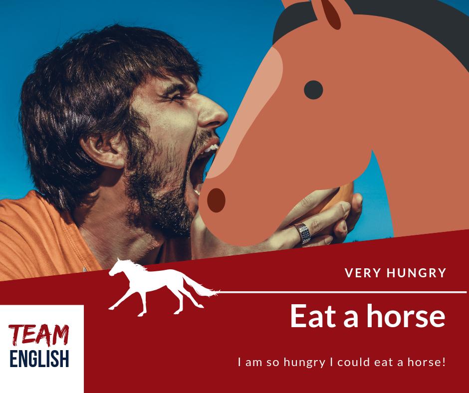 Idiom of the week: to eat a horse
Could you really?