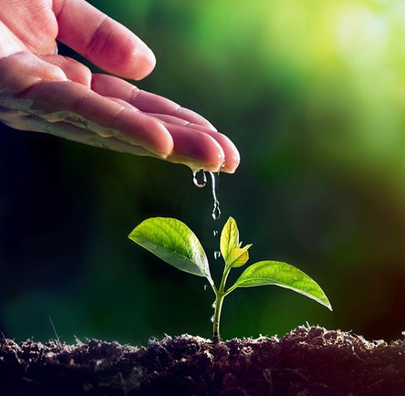 💧🌱Aumentar la producción de alimentos usando menos #agua es uno de los grandes desafíos de nuestros tiempos

#CadaGotaCuenta
bit.ly/2HmXBP2