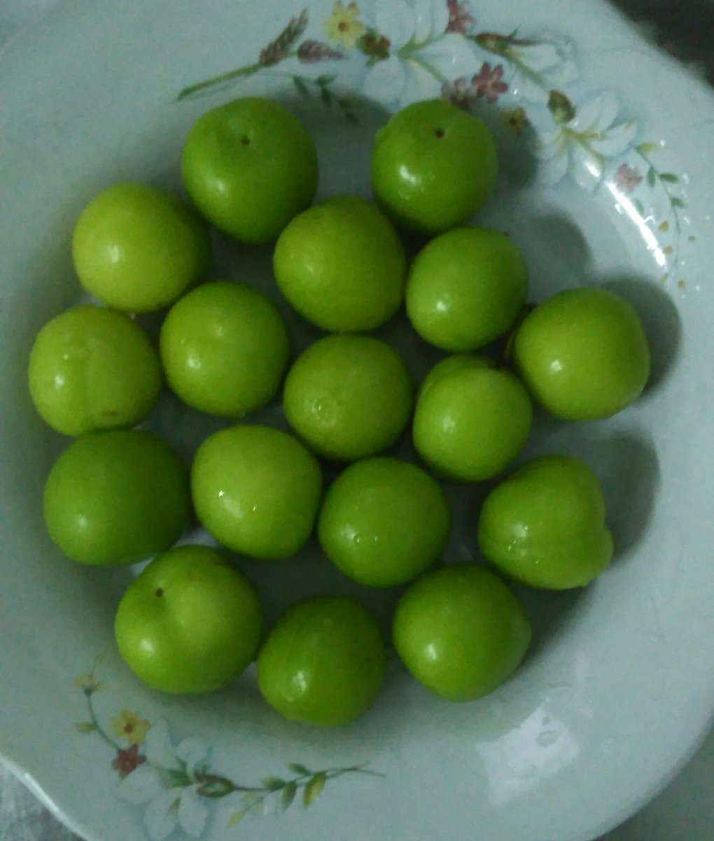 #erik sezonu açıldııı~~